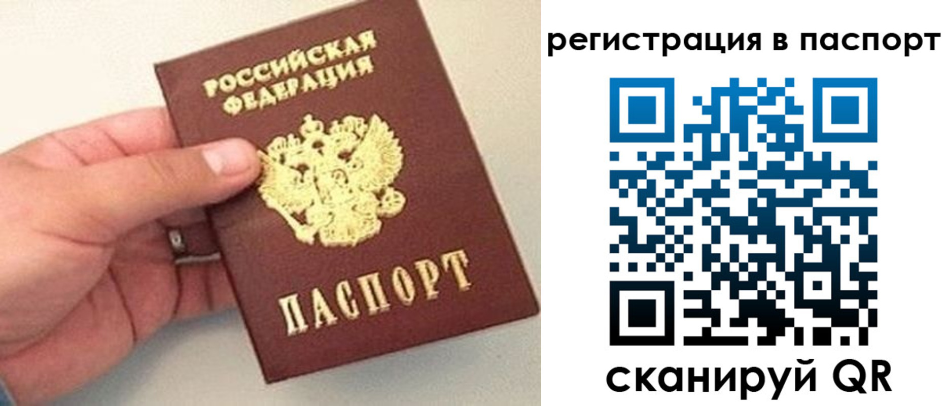 прописка законно в Крымске